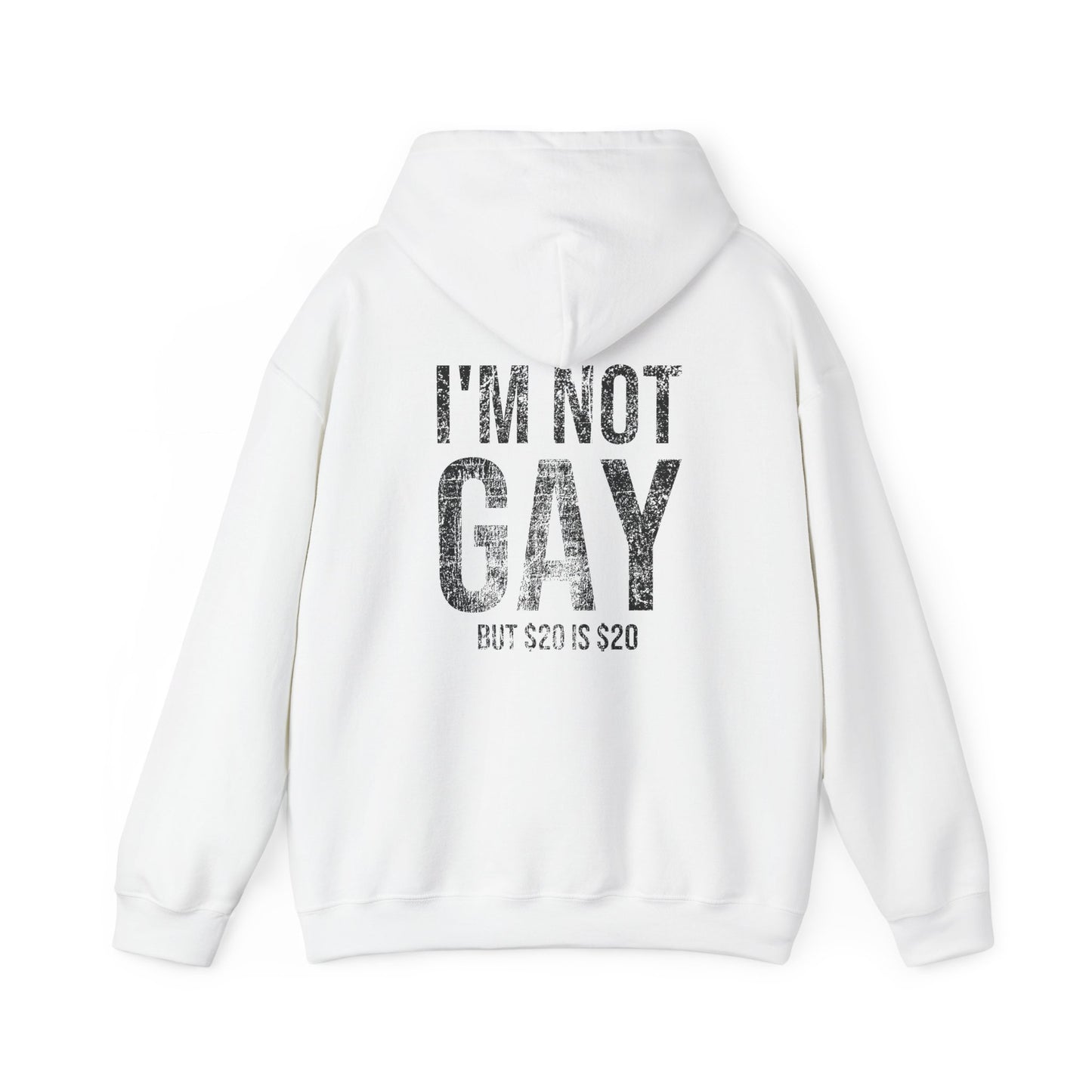 I'm Not Gay Hoodie