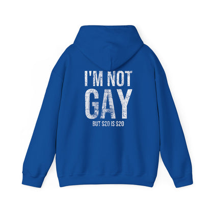 I'm Not Gay Hoodie