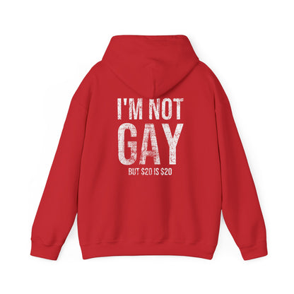 I'm Not Gay Hoodie